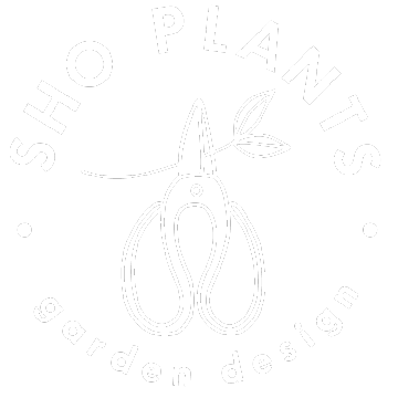 SHO PLANTS